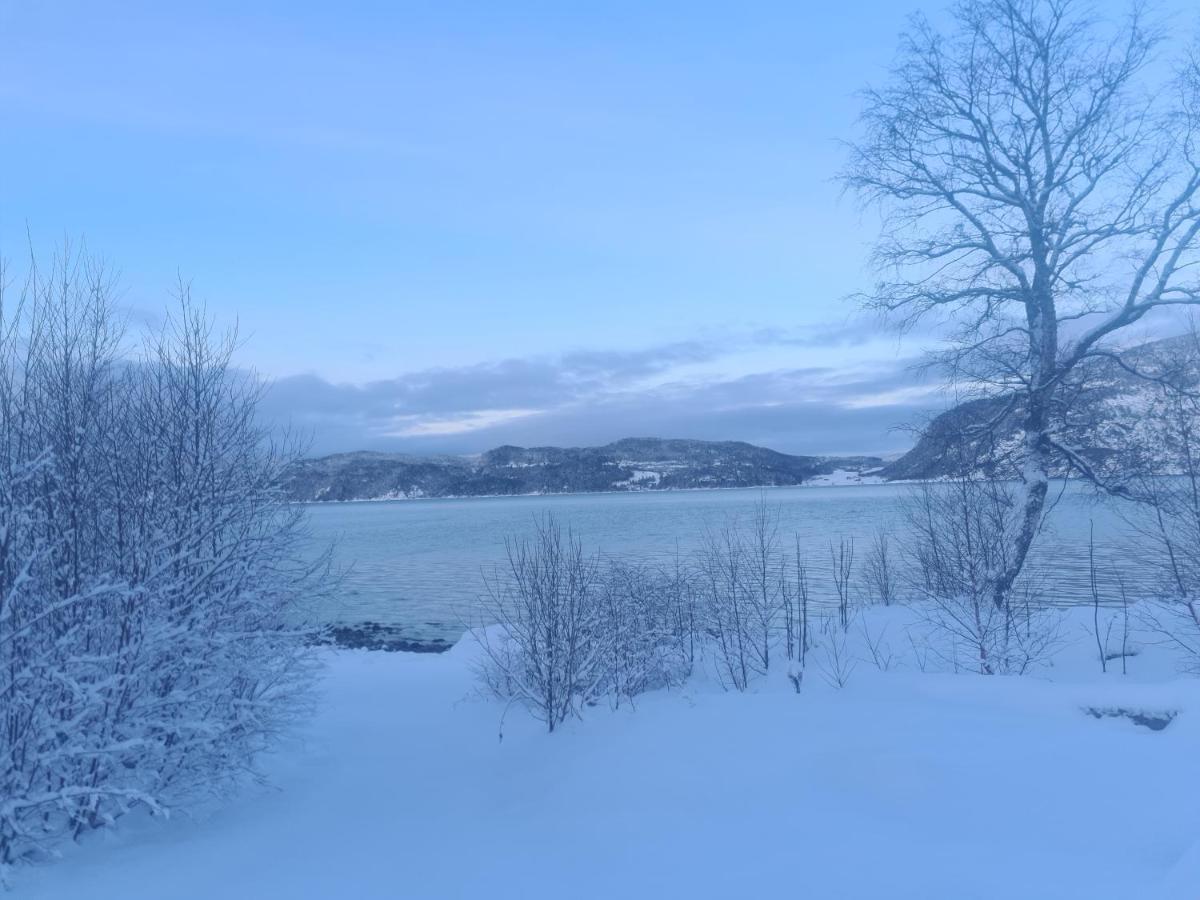 Sunndalsfjord Cottages Fredsvik Meisalstranda 455,506 Og 508 Sunndalsøra Buitenkant foto