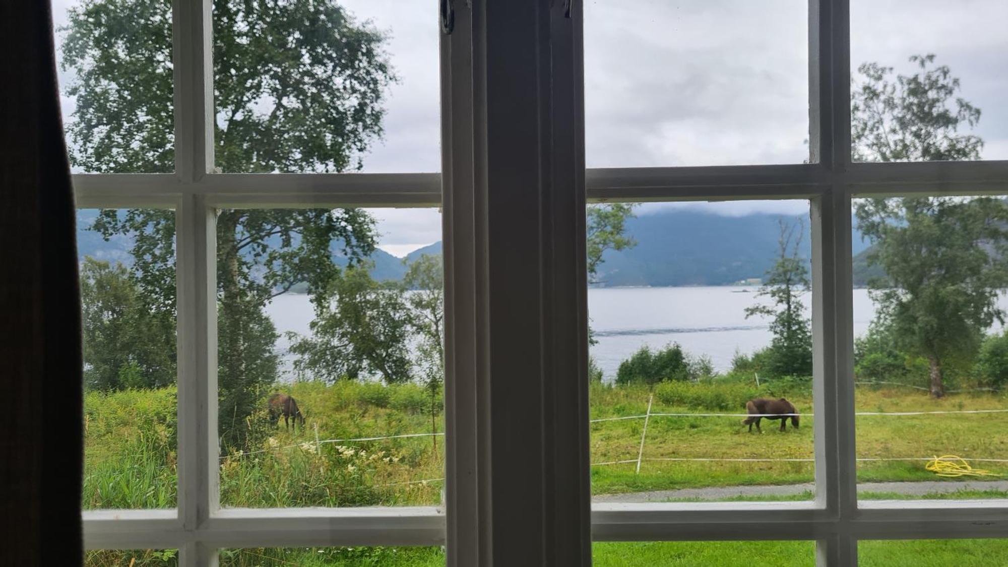 Sunndalsfjord Cottages Fredsvik Meisalstranda 455,506 Og 508 Sunndalsøra Buitenkant foto